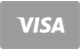 Visa card payment accepted at WinPlace Casino